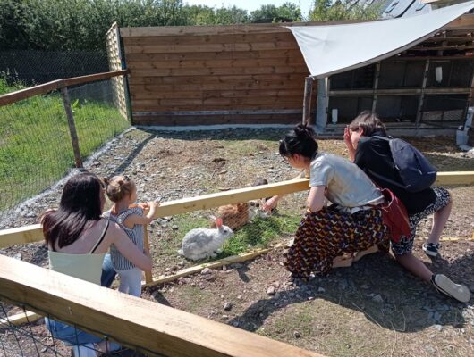 IL ÉTAIT UNE FERME - 218915877-3036067743338330-3449059852989216677-n