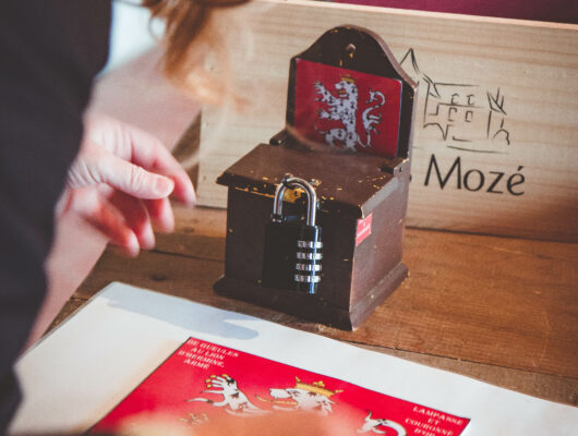 Domaine de Bois Mozé - img-9916