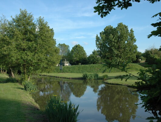 SENTIER D&rsquo;INTERPRÉTATION DU VIGNOBLE DE L&rsquo;AUBANCE : VIGNOBLE ET GÉOLOGIE - photo-40st-melaine-aubance-2