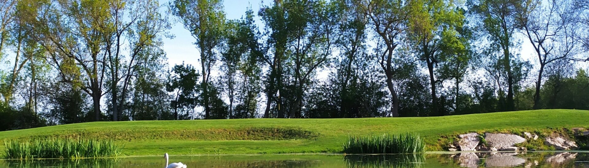 Golf d&rsquo;Angers