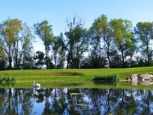 Golf d&rsquo;Angers - 6-122