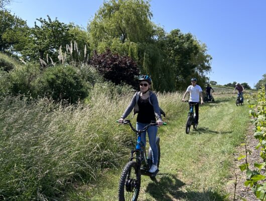 Randonnée en trottinette électrique dans le vignoble - img-0656-9