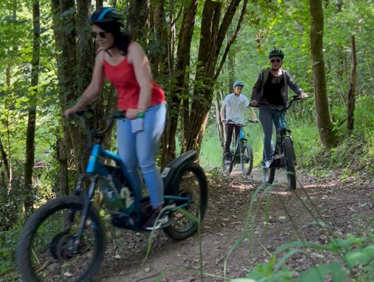 Randonnée en trottinette électrique dans le vignoble - trott-7