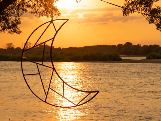 La Guinguette à Jojo - --la-guinguette-a-jojo-philippe-lambert--10-