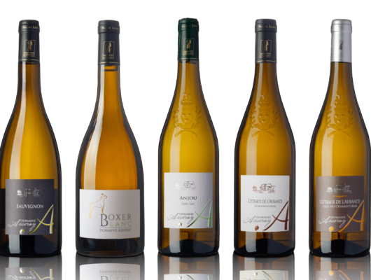 DOMAINE ASSERAY - ensemble-asseray-2023-16895-