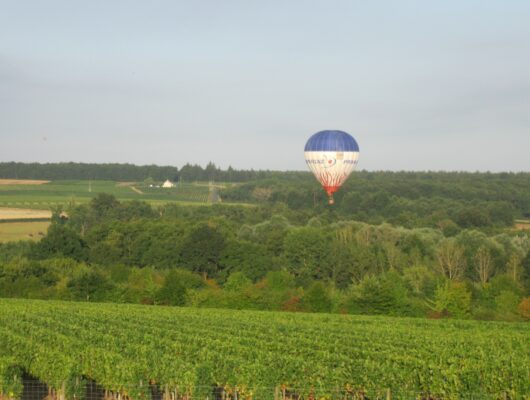 DOMAINE ASSERAY - img-1362-2