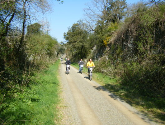 LOIRE-LAYON-AUBANCE (THOUARCÉ – CHALONNES-SUR-LOIRE) - loire-layon-aubance-thouarce-chalonnes-49-iti-c.-anjou-tourisme--2-