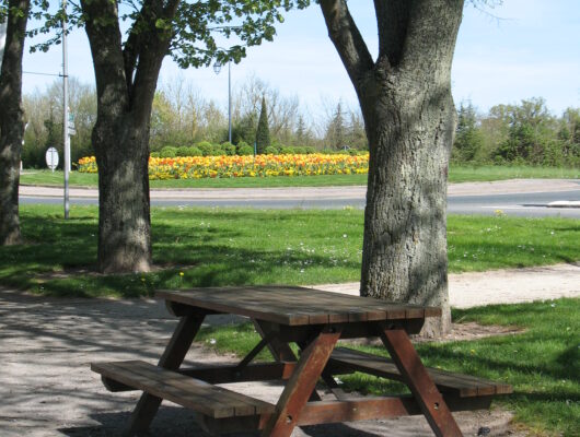 Aire de pique-nique – Le Grand Bras - aire-pic-nic-place-montprofit-st-georges