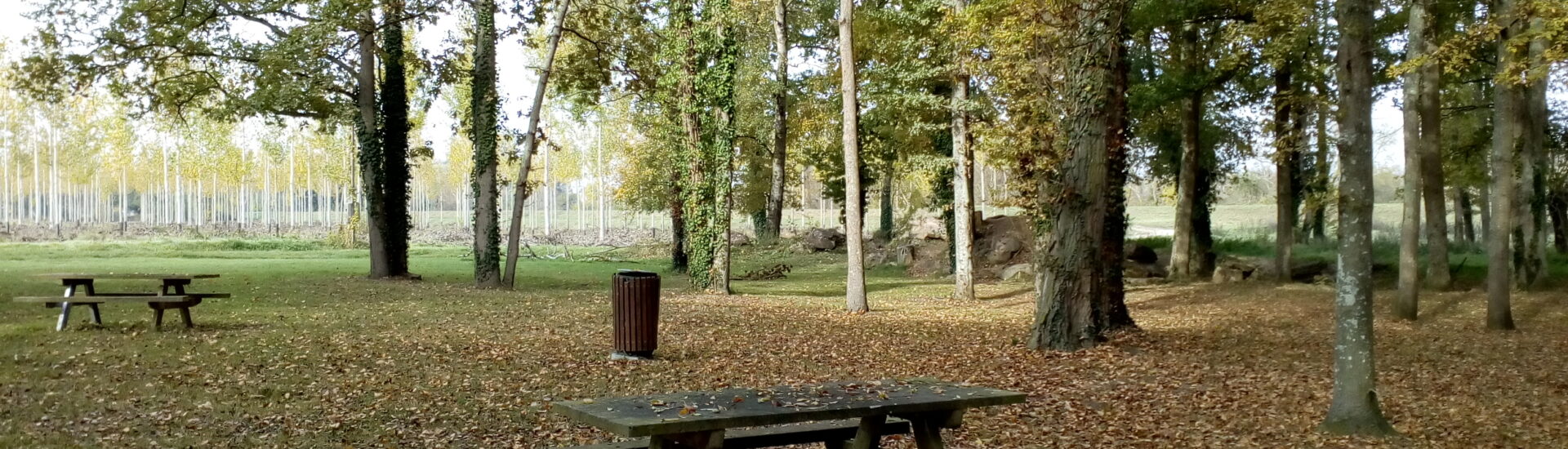 Aire de pique-nique  des Basses Arches