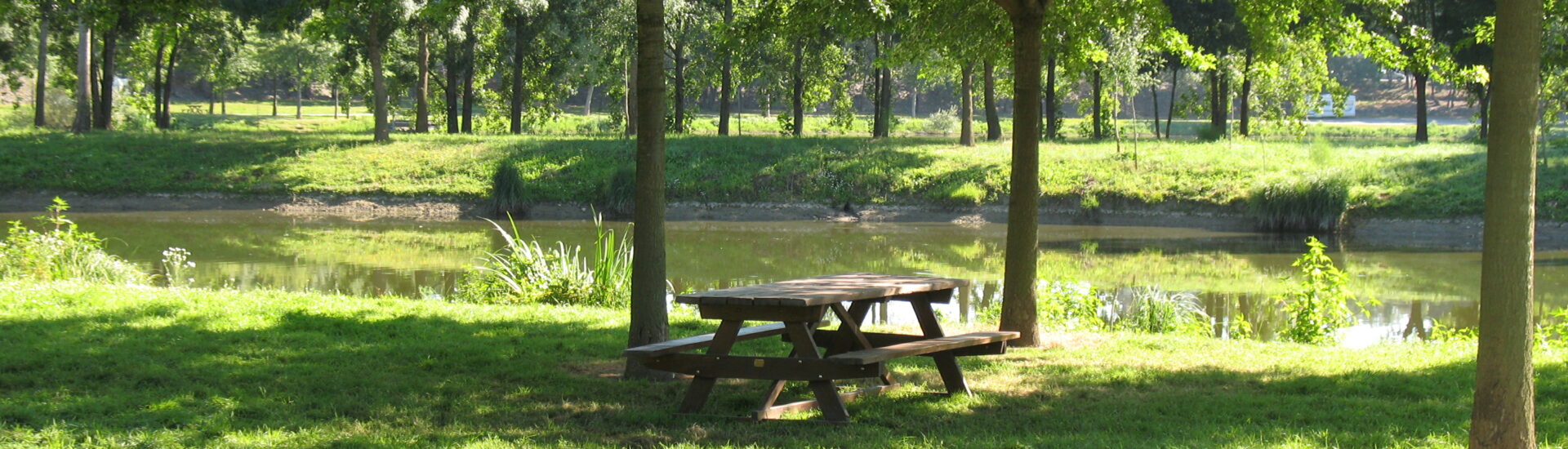 Aire de pique-nique du Plan d&rsquo;eau Rochefort sur Loire