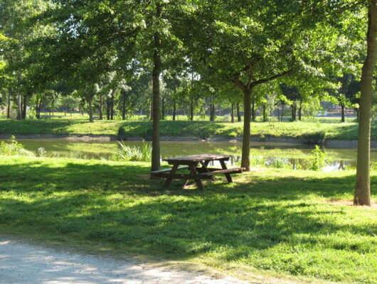 Aire de pique-nique du Plan d&rsquo;eau Rochefort sur Loire - aire-pique-nique-chalonnes