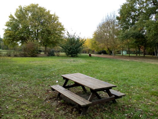 Aire de pique-nique de La Perrine - aire-pique-nique-de-la-perrine