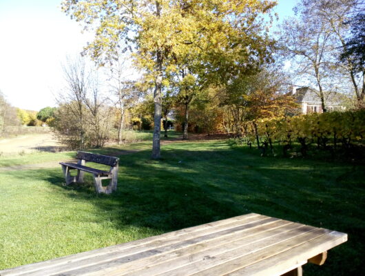 Aire de pique-nique de L&rsquo;Etang Des Courtilliers - aire-pique-nique-etang-courtilliers-3