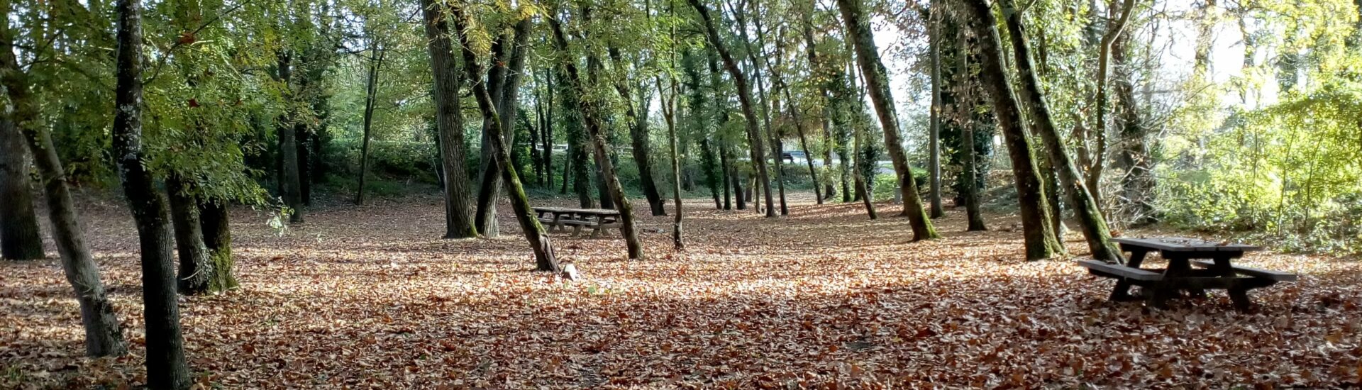 Aire de pique-nique du Buda