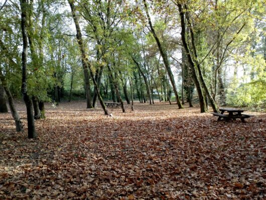 Aire de pique-nique du Buda - aire-pique-nique-le-buda