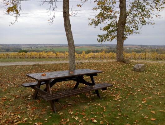 Aire de pique-nique du Grand Beaumont - aire-pique-nique-le-grand-beaumont