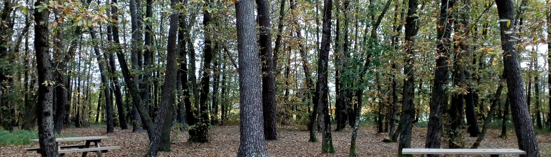 Aire de pique-nique de Coutures