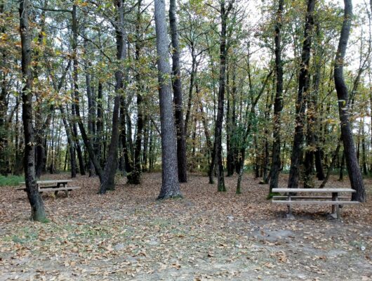 Aire de pique-nique de Coutures - aire-pique-nique-le-grand-saze