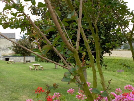 Aire de pique-nique du Lavoir – Chemellier - aire-pique-nique-le-lavoir-1
