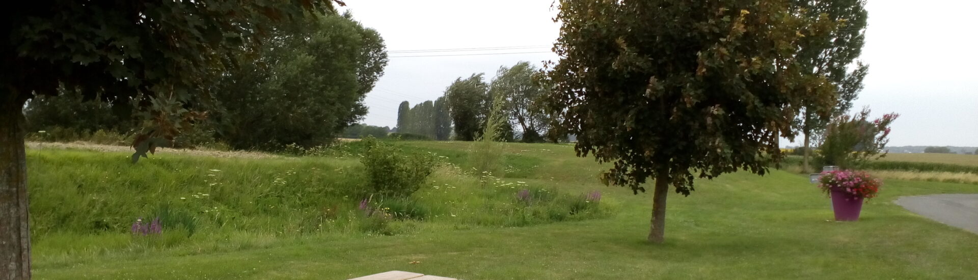 Aire de pique-nique du Lavoir – Chemellier