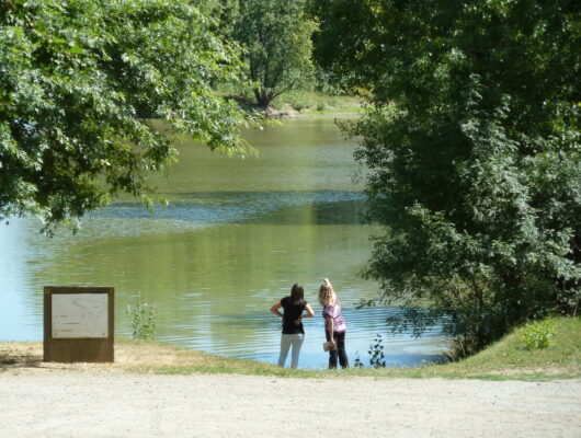 Aire de pique-nique du Plan d&rsquo;eau Rochefort sur Loire - chalonnes---aout-2013---credit-photo-otll--22-