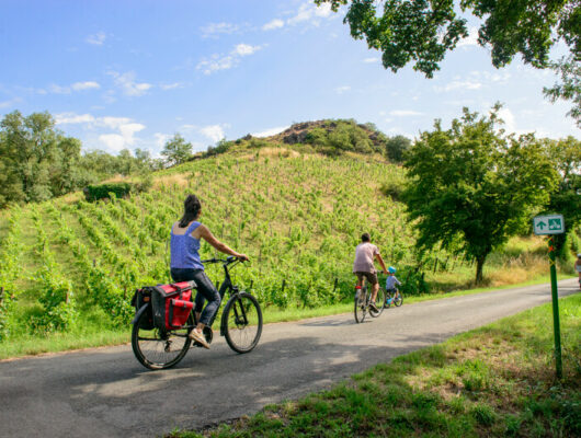 Boucle vélo Anjou vignoble et villages - coteaux-du-pont-barre--c-etienne-begouen-2526-anjoutourisme-800px