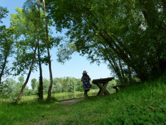 Aire de pique-nique au plan d&rsquo;eau de Denée - denee-ete-2015-credit-a.rosselin--7-