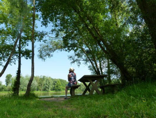 Aire de pique-nique au plan d&rsquo;eau de Denée - denee-ete-2015-credit-a.rosselin--8-