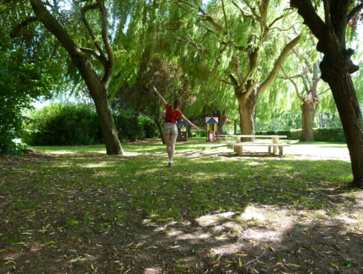 Aires de pique-nique – Le Grand Ayrault - p1200195