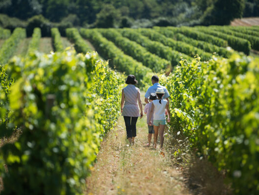 Aire de pique-nique du Grand Beaumont - paysages-viticoles-js.evard
