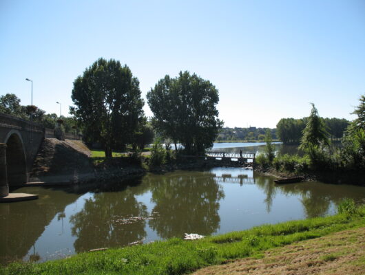 Aire de pique-nique du Plan d&rsquo;eau Rochefort sur Loire - plan-d-eau-layon-chalonnes1
