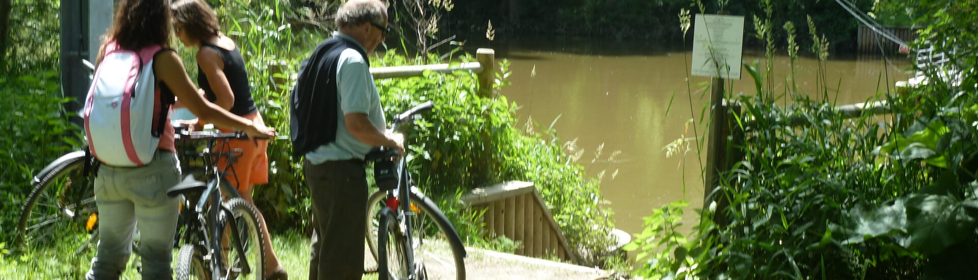 Aire de pique-nique à  « La Haie Longue » – Saint Aubin de Luigné