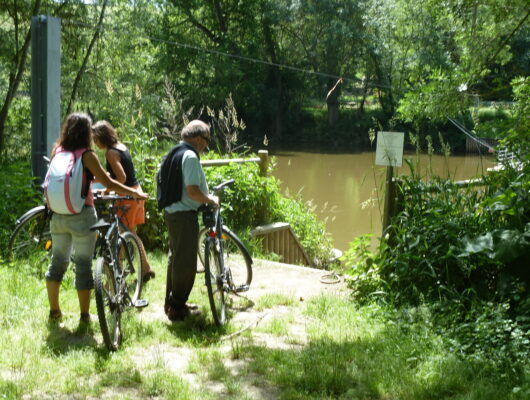 Aire de pique-nique à  « La Haie Longue » – Saint Aubin de Luigné - rando-velo-rochefort-2012---credit-photo-otll--35-