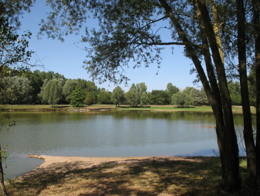 Aire de pique-nique au plan d&rsquo;eau de Denée - zone-loisirs-denee3