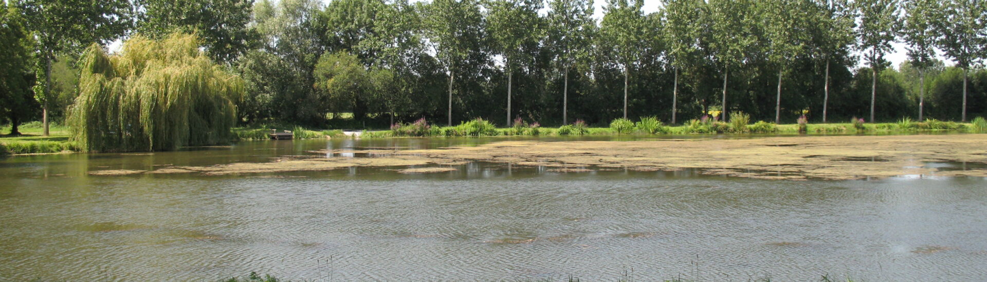Aire de pique-nique – Plage de Rochefort sur Loire
