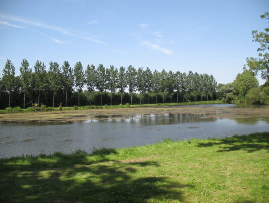 Aire de pique-nique – Plage de Rochefort sur Loire - zone-loisirs-rochefort2