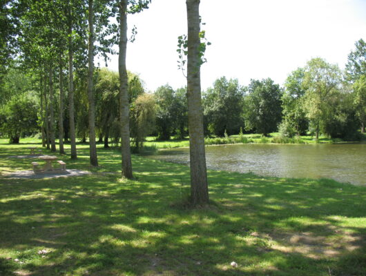 Aire de pique-nique – Plage de Rochefort sur Loire - zone-loisirs-rochefort3