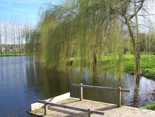 Aire de pique-nique – Plage de Rochefort sur Loire - zone-loisirs-rochefort6