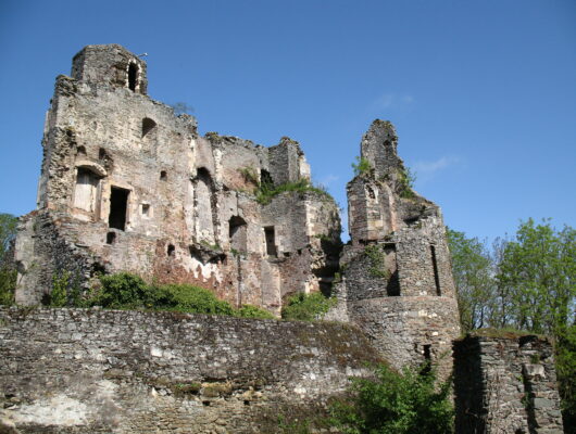 CHÂTEAU DE LA HAUTE GUERCHE - chateau-hte-guerche-st-aubin-11