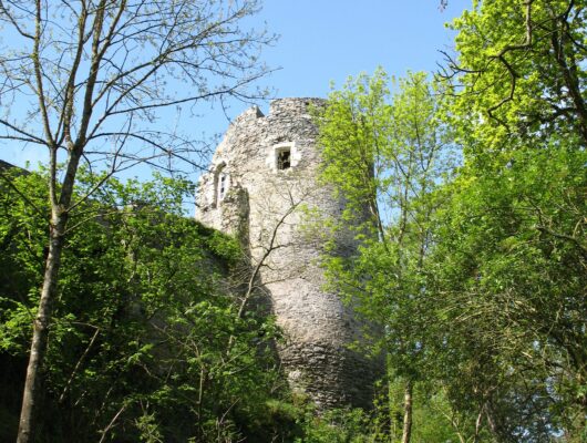 CHÂTEAU DE LA HAUTE GUERCHE - chateau-hte-guerche-st-aubin-12