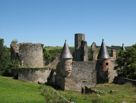 CHÂTEAU DE LA HAUTE GUERCHE - chateau-hte-guerche-st-aubin4