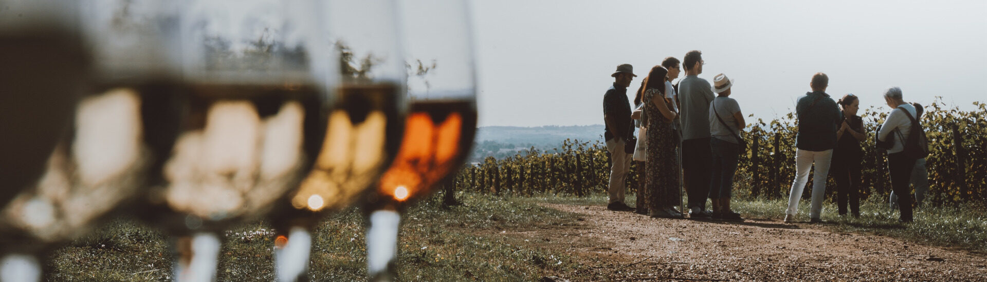 Anjou&rsquo;r & Nuit – Animations autour des 5 sens