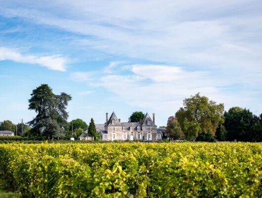 CHÂTEAU DE BOIS BRINÇON - chateaudeboisbrincon-lechicbouteilles-26septembre2023-hd-22