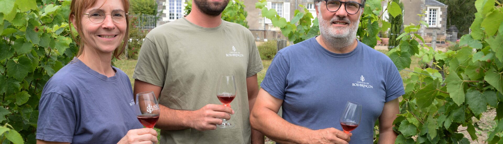 CHÂTEAU DE BOIS BRINÇON