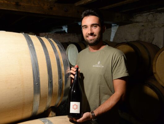 CHÂTEAU DE BOIS BRINÇON - jay-6291