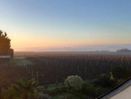 DOMAINE DES ORTINIERES - 20241204-085020