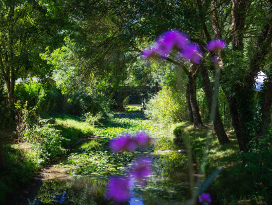 Camping de l&rsquo;Etang - acamping-etnag-dsc4188