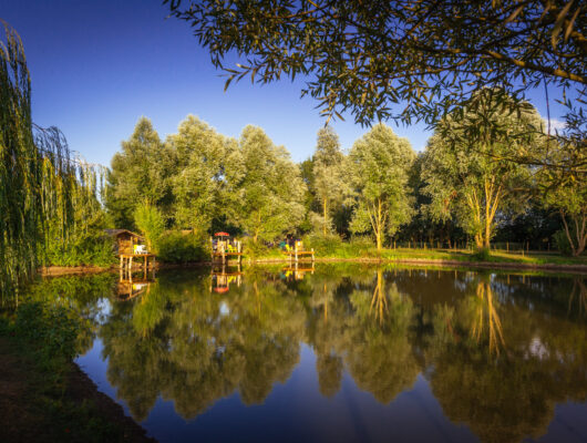 Camping de l&rsquo;Etang - aetangcamping-etang-dsc4907