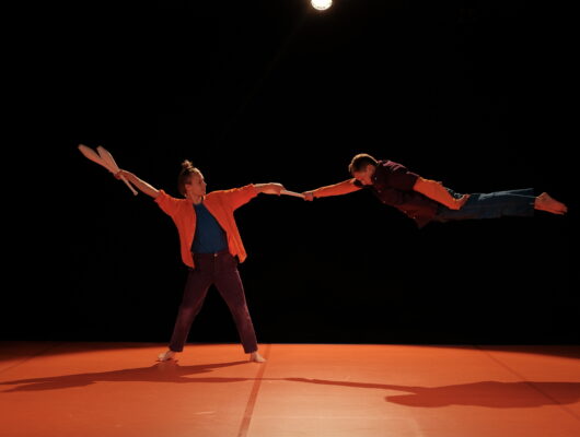 VILLAGES EN SCÈNE : VERY SUPER FESTIVAL - basarkus-theatre--sylvere-lamotte-4