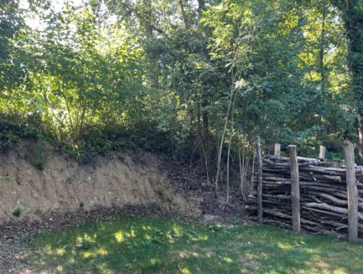 Des Radis et des Hommes - emplacement-1-5